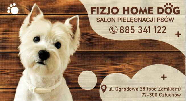 Fizjo Home Dog - Salon Pielęgnacji Psów