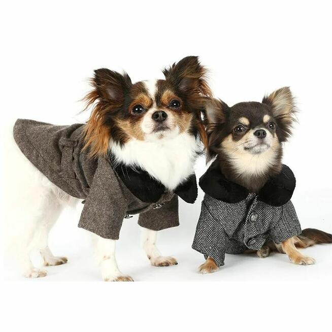 3XL Puppy Angel Płaszcz dla psa szary elegancki