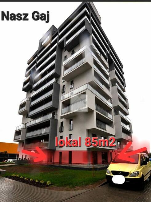 Wynajem lokal Nasz gaj Rzeszów 85m2
