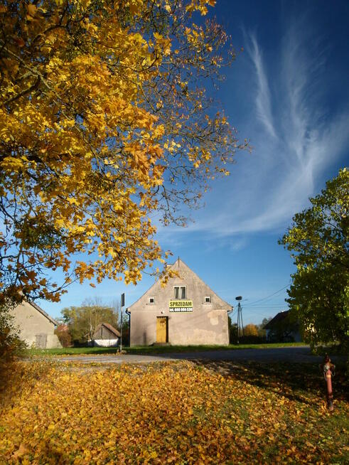 Mazury , Dom 182 m², budynek gospodarczy 64 m² - 370000 zł