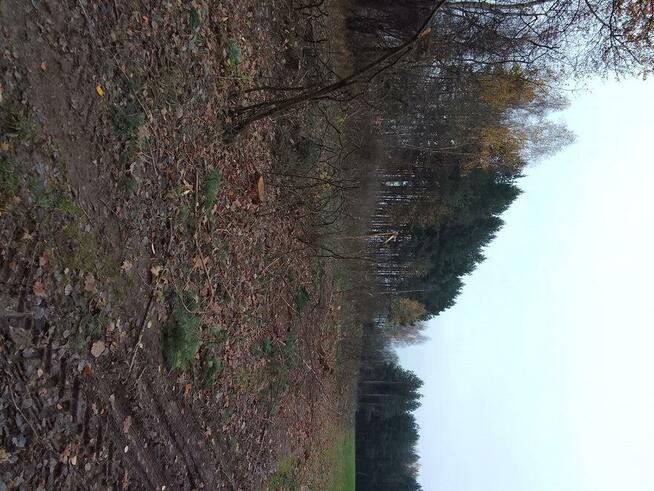 Działka na sprzedaż 77 arów Sędziszów Młp.