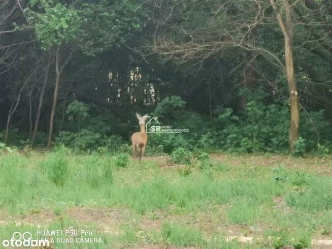 Działka budowlana we wsi PELAGIA