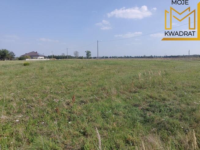 Działka budowlano-usługowa Stróża 2900 m2