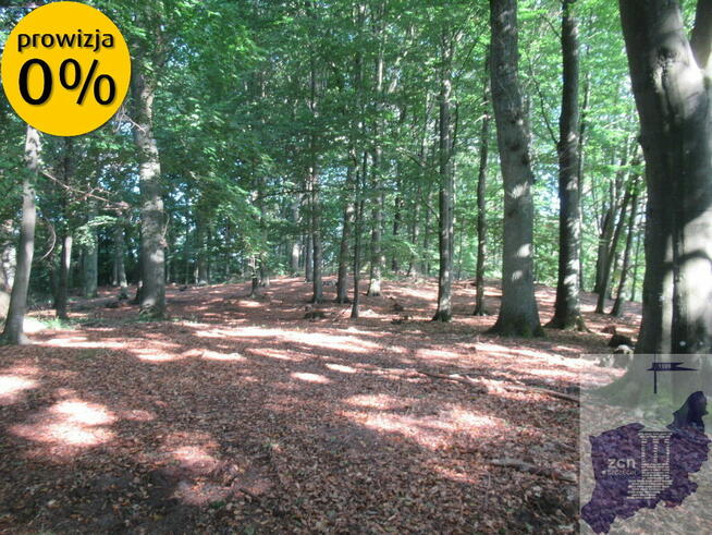 Sprzedam działkę nad jezioren