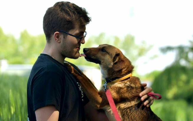 dwupak Azi i Zoja szukają domu, pies, suczka, rodzeństwo