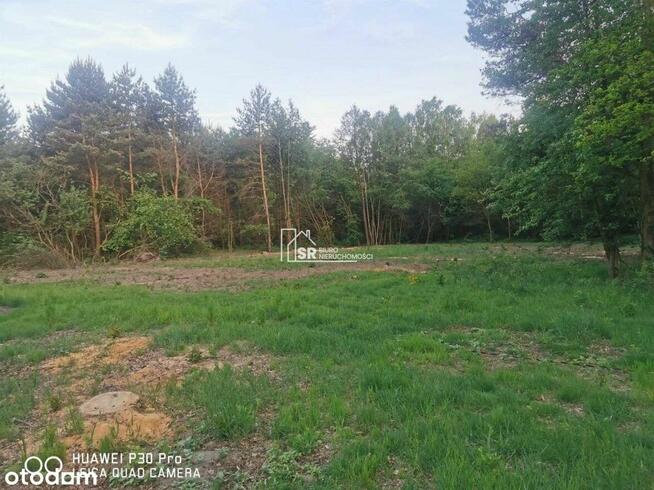 Działka budowlana we wsi PELAGIA