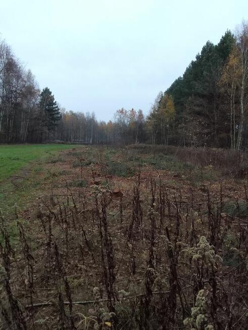 Działka na sprzedaż 77 arów Sędziszów Młp.