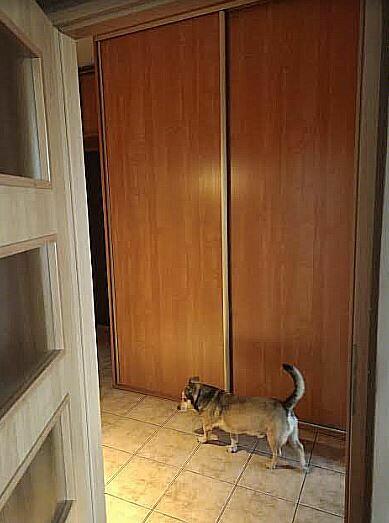 ZAMIANA TRZY POKOJE NA DWA MAŁE