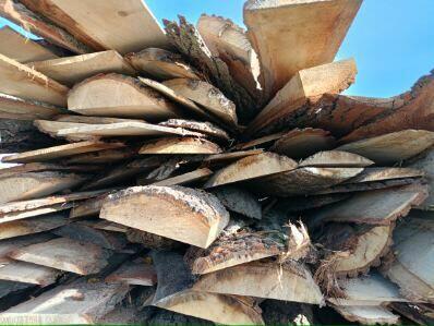 Sprzedam zrzyny dębowe