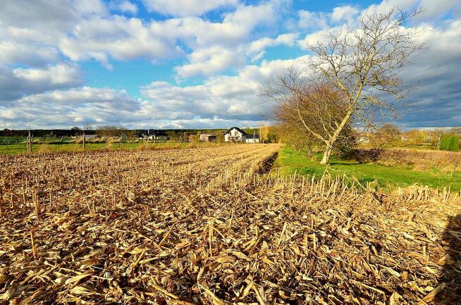 Sprzedam ładną działkę w Morawsku!