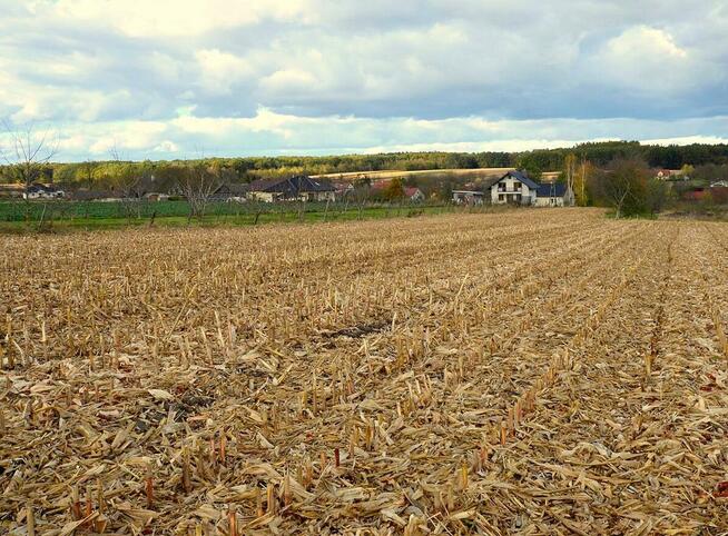 Sprzedam ładną działkę w Morawsku!