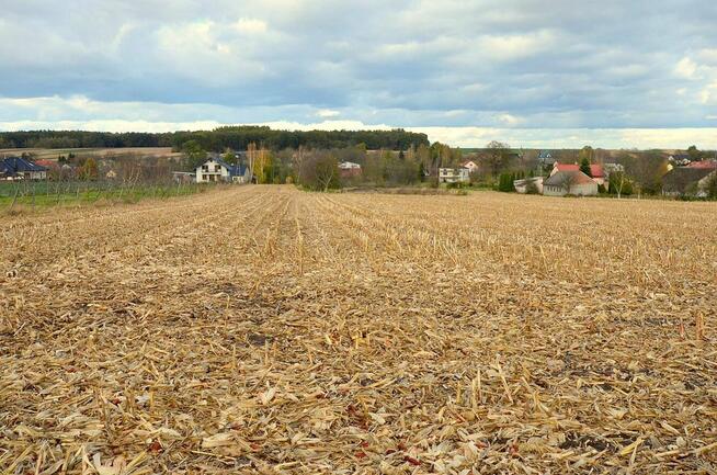 Sprzedam ładną działkę w Morawsku!