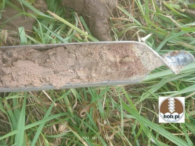 Geolog, Badania geologiczne, Opinia geotechniczna