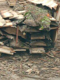 Sprzedam zrzyny dębowe