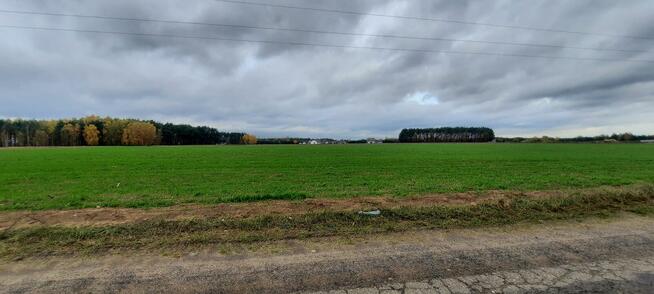 Sprzedam działkę siedliskowa