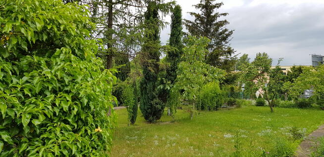 Super Działka Rekreacyjna ROD w centrum Wrocławia