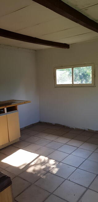 Super Działka Rekreacyjna ROD w centrum Wrocławia