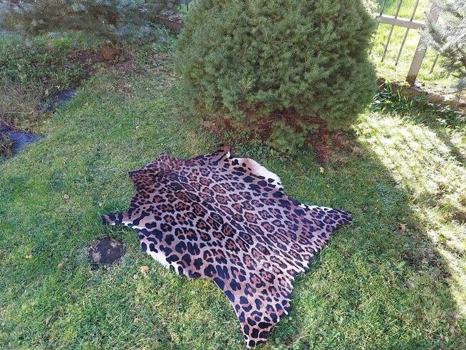 Skóra z Lamparta Dywan Zwierzęcy Skóra z Kozy Wzór Lampart