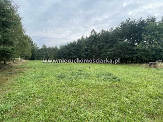 Działka budowlana Wodzisław Śląski