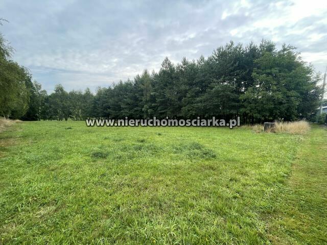 Działka budowlana Wodzisław Śląski