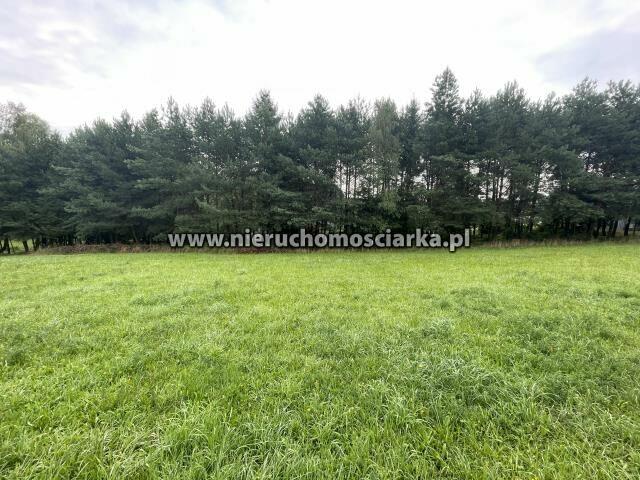 Działka budowlana Wodzisław Śląski