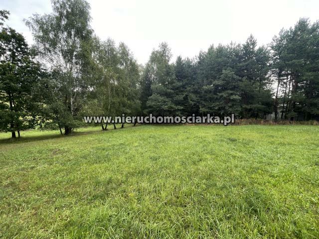 Działka budowlana Wodzisław Śląski