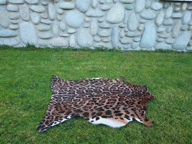 Skóra z Lamparta Dywan Zwierzęcy Skóra z Kozy Wzór Lampart