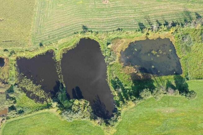 stawy rybne tereny rekreacyjne przepiekna okolica