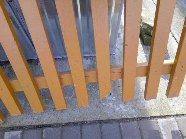 Płot przęsło dębowy dębowe dąb 3,7m 370cm