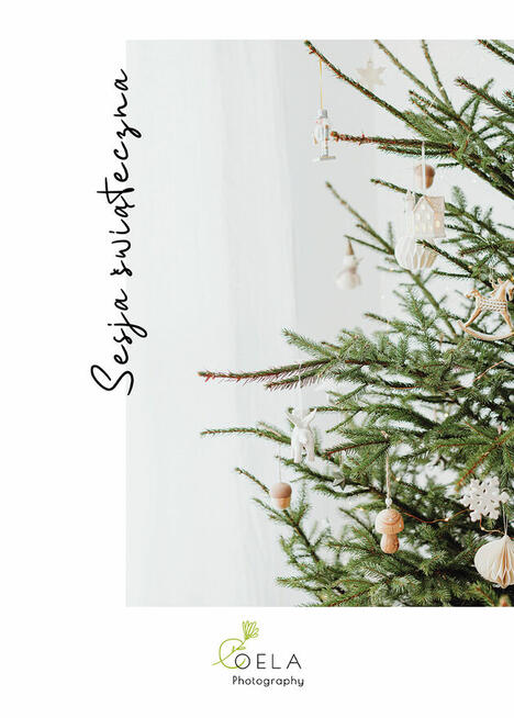 Sesja Świąteczna. Sesja zdjęciowa. Fotograf Kraków. OELA Pho