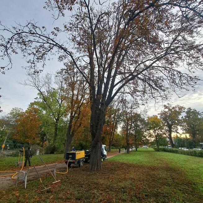 Wynajem AirSpade Wrocław | Bezinwazyjne odsłanianie korzeni