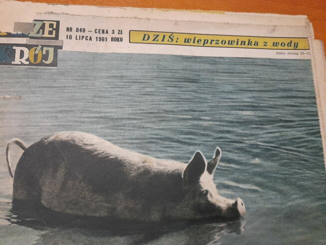 Przekrój z 1961 r 16 lipca.