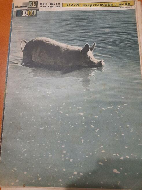 Przekrój z 1961 r 16 lipca.