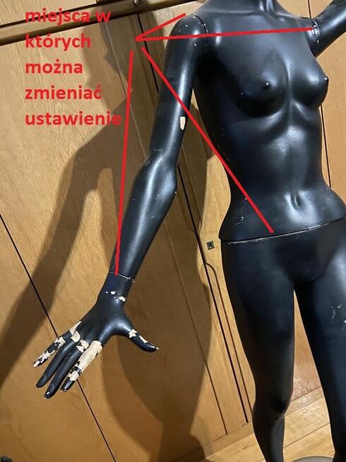 Manekin kobiety wystawowy wys. 170cm