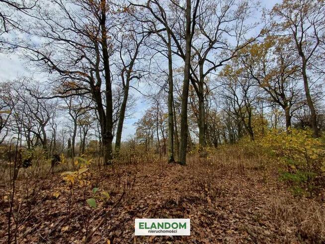 Działka z WZ na 2 domy, Józefów