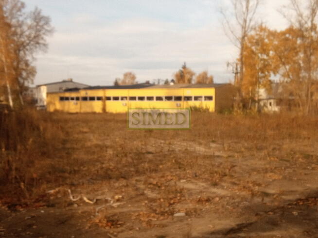 Okolice Auchan,przy trasie nr 7 wjazd do Łomianek