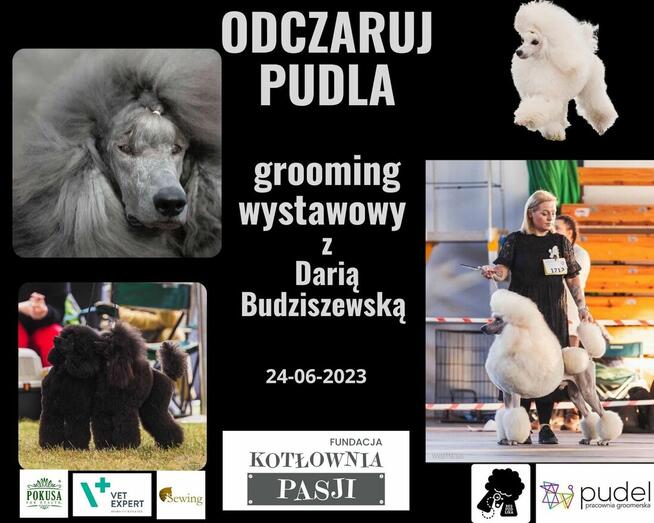 SZKOLENIA DLA HODOWCÓW PSÓW RASOWYCH