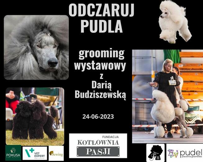 SZKOLENIE behawioralno - handlingowe PSÓW