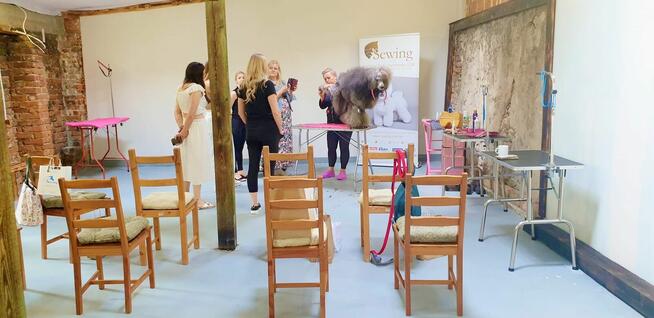 SZKOLENIE behawioralno - handlingowe PSÓW