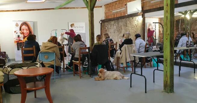 SZKOLENIE behawioralno - handlingowe PSÓW