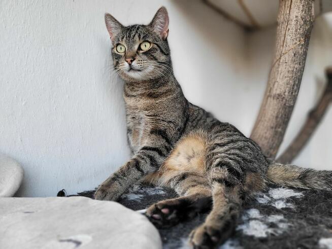 Wilga - pokocha Cię bezwarunkowo