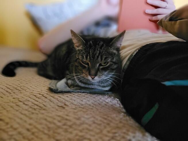 Wilga - pokocha Cię bezwarunkowo