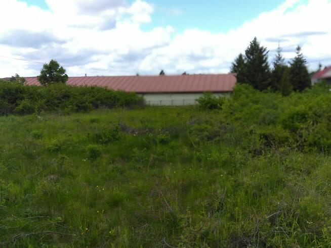 Sprzedam działkę budowlaną w Miedzianej Górze