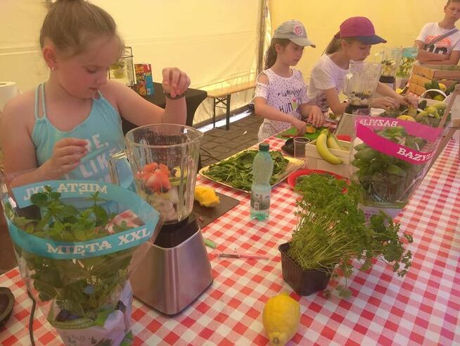 Wynajem dietetyka analizatora składu ciała fizjoterapeuty