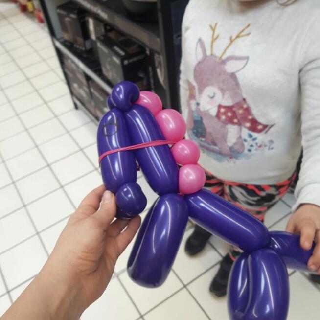 animacje na urodziny, wesela, chrzciny, animator