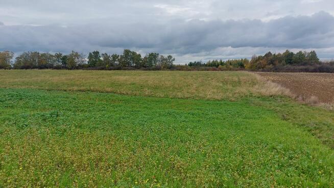 Góra Siewierska Czerwony Kamień działka budowlana