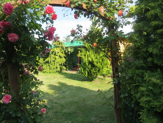 Gospodarstwo Turystyczno - Rolne