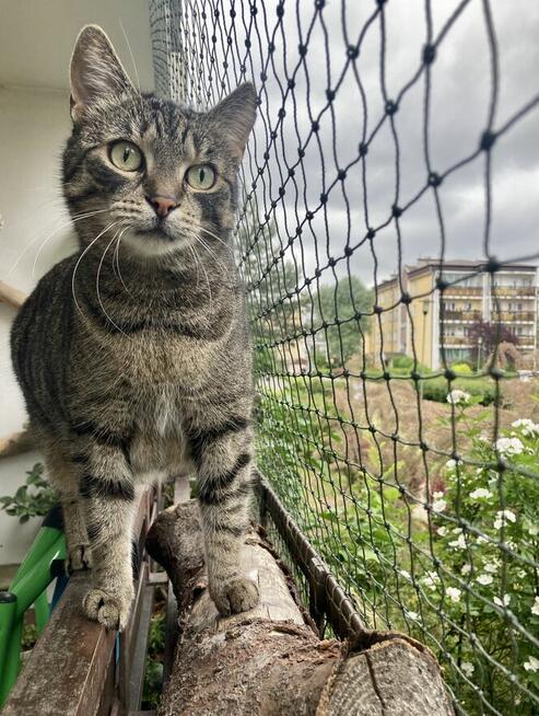 Wilga - pokocha Cię bezwarunkowo