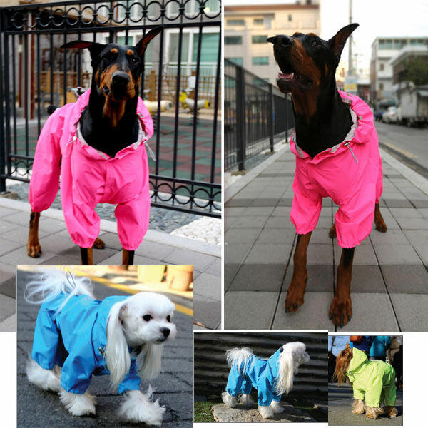 4XL Puppy Angel Kombinezon przeciwdeszczowy dla psa niebiesk