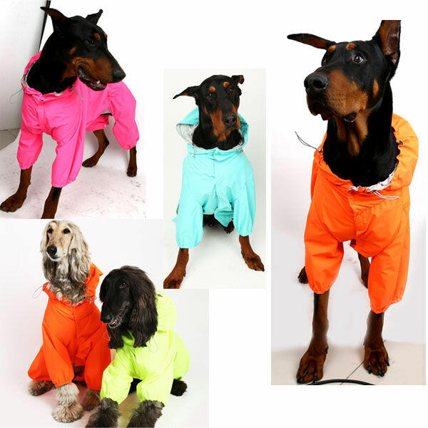 4XL Puppy Angel Kombinezon przeciwdeszczowy dla psa niebiesk